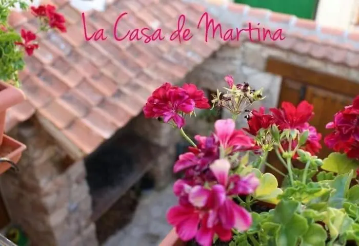 컨트리하우스 La Casa De Martina 페드라사